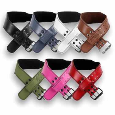 Aesthreadics Classic Tapered Weight Lifting Belt BuiltAthletics